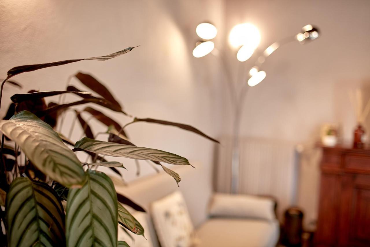Villetta Con Giardino ⭑⭑⭑⭑⭑ - Wifi, Dogs Allowed Biella Ngoại thất bức ảnh