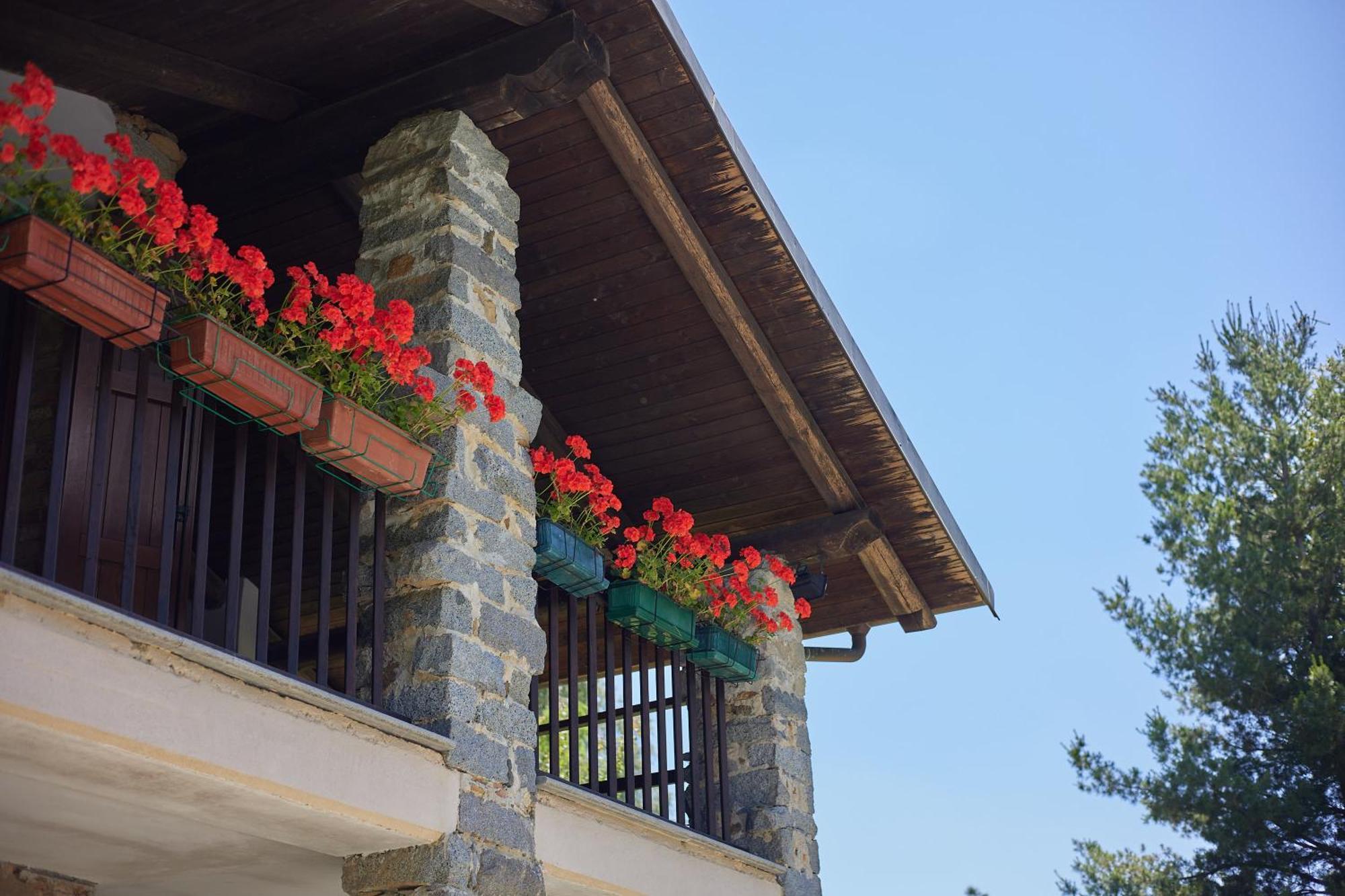 Villetta Con Giardino ⭑⭑⭑⭑⭑ - Wifi, Dogs Allowed Biella Ngoại thất bức ảnh